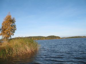 летний отдых в карелии