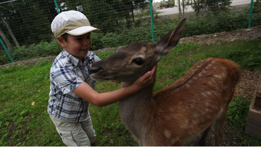 Мини-зоопарк и детский аква-парк